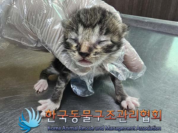 종료(자연사) 한국…